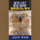 눈아들 나 민주당 지역구 후보 숏츠에 올라감 이미지