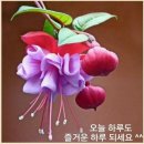 중앙노인종합복지관 이미지