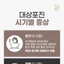 진피부과