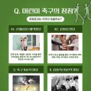 드림풋볼아카데미