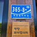 평창쁘띠빌리지 | [평창] 쁘띠빌리지 대관령 독채펜션