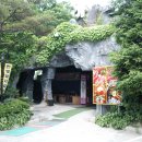 바우갈비 이미지