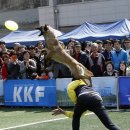 애견세계 이미지