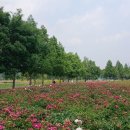 타고 난. 성품. 심뽀 ♡ 이미지