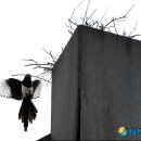 까치공원 조형물 이미지