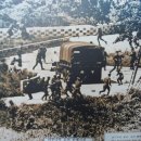 1976년 8월18일 판문점 에서 이미지