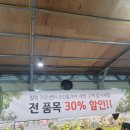조인플라워
