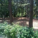 신트리공원 배드민턴장 이미지