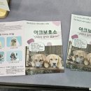 고양이 유치원 | [2026 부산 펫앤모어(2026 PET &amp; MORE 반려동물 박람회)] 고양이 집사 기준 후기