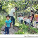 부광 농장 이미지