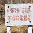 도강