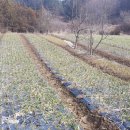 건국농원 이미지