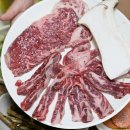 푸른가든 이미지