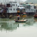 C . H . H . Farm 이미지