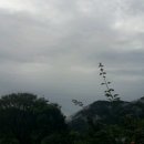 두루산장 이미지