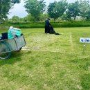 대저캠핑장 | [부산 캠핑] 대저캠핑장 A10 사이트 이용 후기(캠핑 먹방)