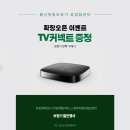 울산독일보청기 이미지
