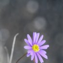 서양화(저녁) 이미지