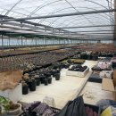 용옥농장 이미지