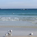 한주기업 | 면접후기_한주_1탄_<사회, 직무 이슈는 어떻게 작성할까>