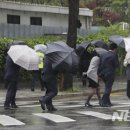 세찬 뉴시스