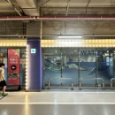 킹덤장어 이미지