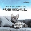 에이스종합학원