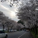 펜션세러데이