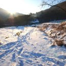 우천농장 이미지