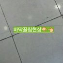 조재진동물병원 이미지