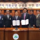 더 케이푸드 이미지