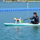 명사해수욕장 주차장 이미지