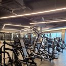 헬린이짐 이미지