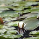 촉촉이네 이미지