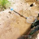 포천 개울가 가든 펜션 이미지