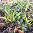 창신여인숙 이미지