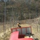 햇터농장 이미지