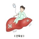 독성 간염(Toxic hepatitis) 소화기 질환이란? 이미지