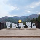 [국내/강원도여행] 귀여운 알파카 보러가요! 강원도 홍천 알파카월드 방문 후기