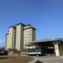 파인리조트 | 강릉 숙소 추천 라카이 샌드파인 리조트 트리오 객실 후기 (8인 가능 대가족 숙소)