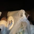 지에스25 여수신라스테이점 이미지