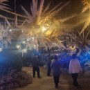 함평엑스포공원 이미지