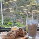 대전 유성 도룡동 카페 버터떡 두쫀쿠 디저트 맛집 파머스프레빌