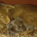 금옥이네 이미지