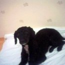 경민주유소 이미지