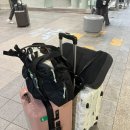 A46 | 카타르항공 내돈내산 솔직후기 유럽 신혼여행