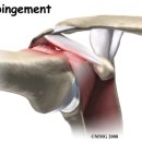 네온정형외과의원 이미지