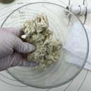 댕구름 | 부산강아지 수제간식 원데이클래스 댕구름 댕스쿠키 클래스 찐 후기