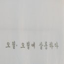 오월살롱 네이버블로그