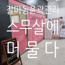 갈마하 이미지